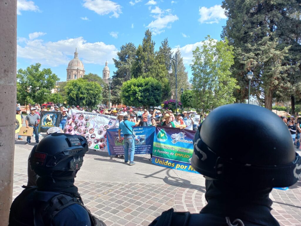 1 16 1024x768 - Galleros de San José Iturbide se manifiestan en pro de las peleas de gallos