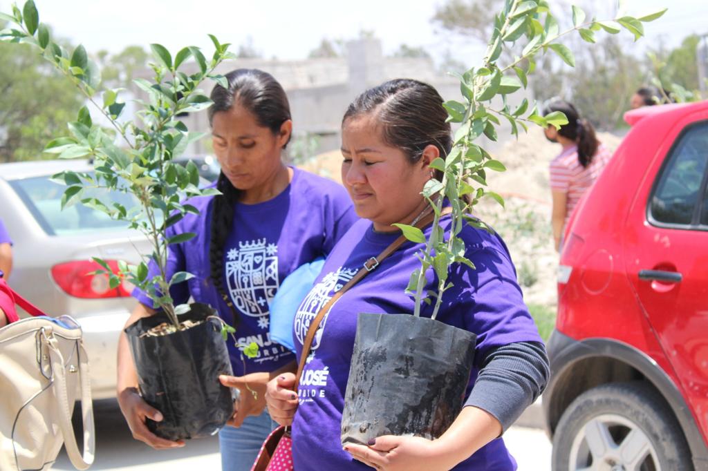 4 2 - Participan más de 800 familias en campaña “Adopta un árbol”