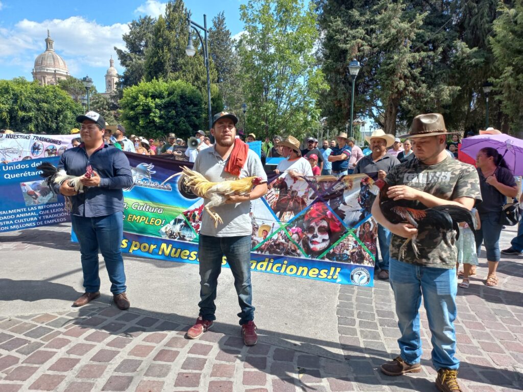 5 8 1024x768 - Galleros de San José Iturbide se manifiestan en pro de las peleas de gallos