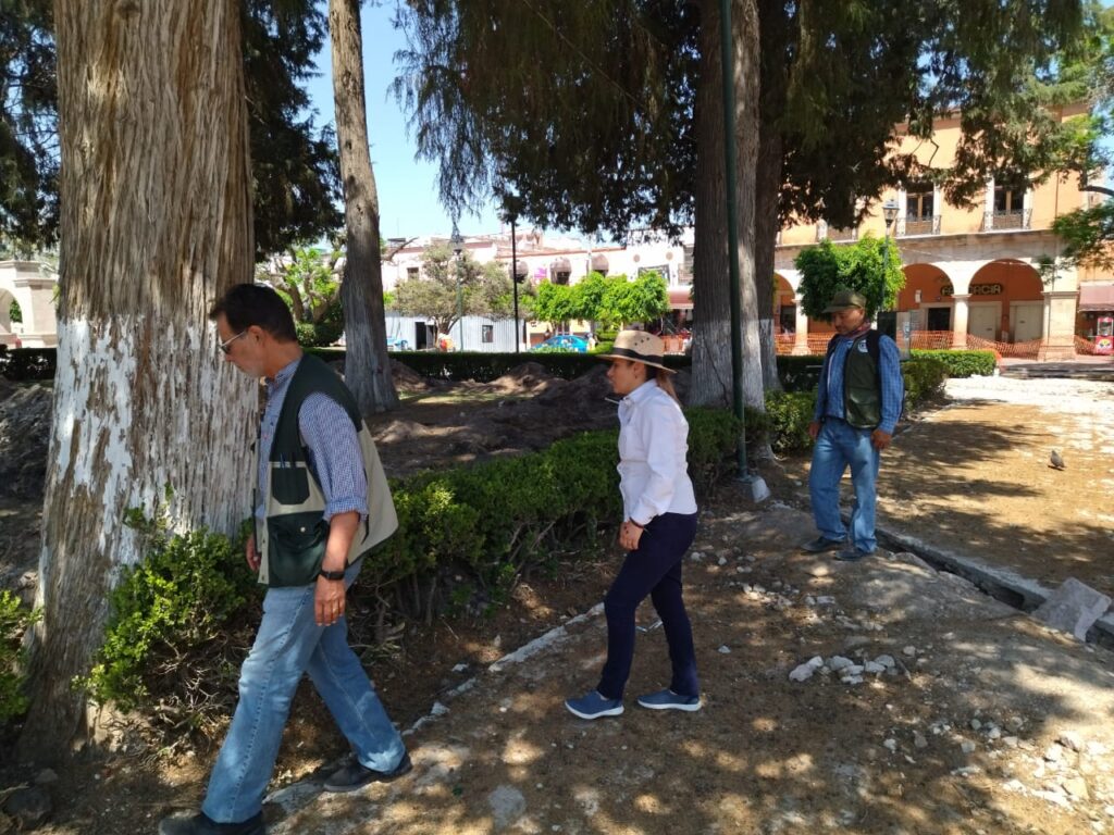 4 5 1024x768 - Gobierno Municipal realiza inventario de árboles en parques, jardines y camellones de la cabecera para acciones correctivas