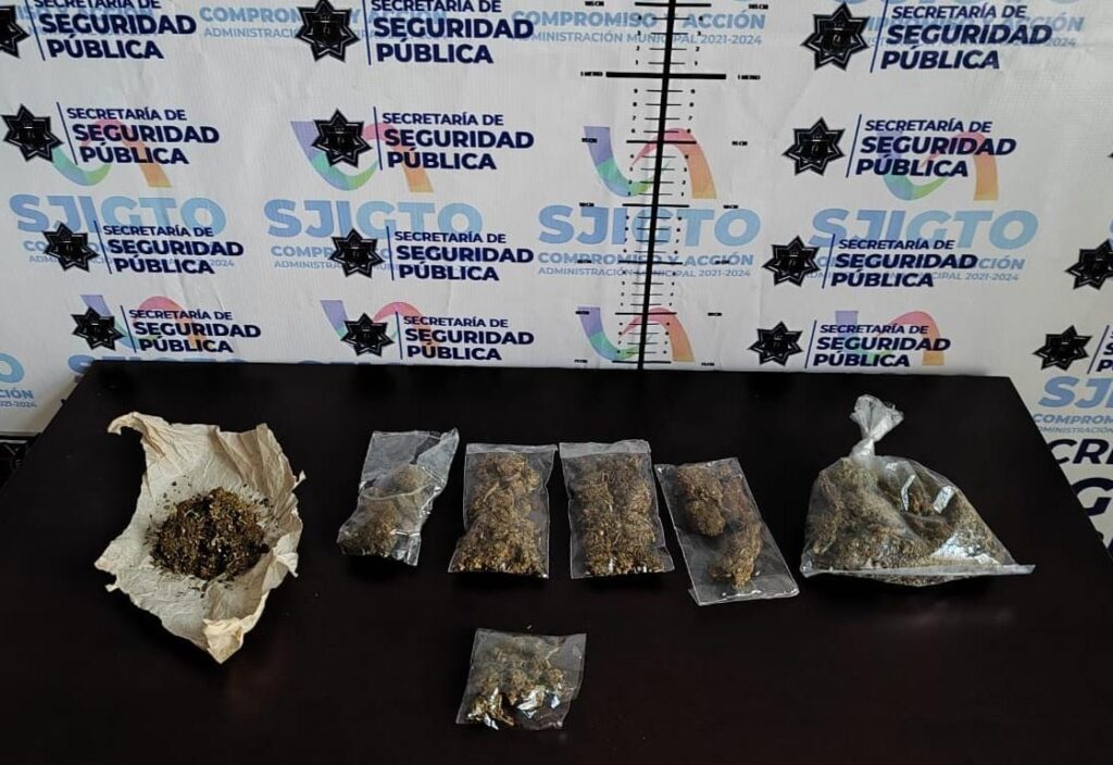 2 19 1024x704 - “Andy”, de la Unidad Canina de San José Iturbide, detecta sustancias con características propias de la marihuana