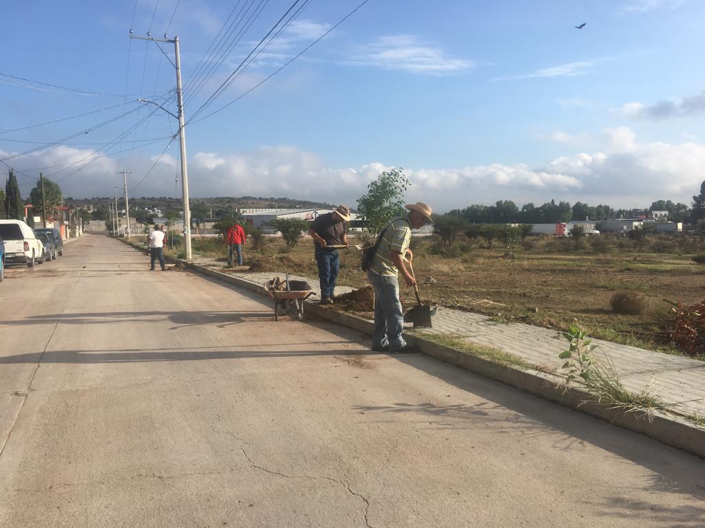 6 1 - Gobierno de San José Iturbide dona más de 14 mil árboles a la población durante los años 2022 y 2023