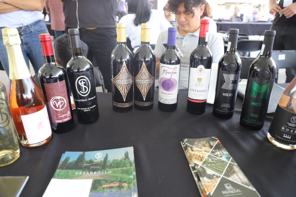 8 4 1024x683 - Realiza el estado de Guanajuato primera expo empresarial “Mercadito Ruta del Vino Valle de la Independencia Guanajuato, México”