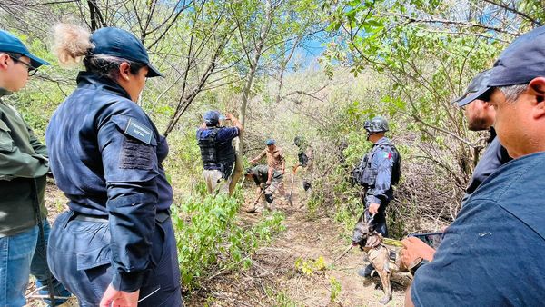 cel1 - DESTACA SAN JOSÉ ITURBIDE A NIVEL ESTATAL EN BÚSQUEDA DE PERSONAS