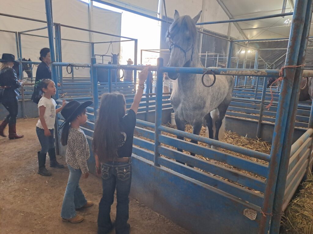 gana5 1024x768 - INAUGURAN LA EXPO GANADERA DE LA FERIA DE SAN JOSÉ 2024