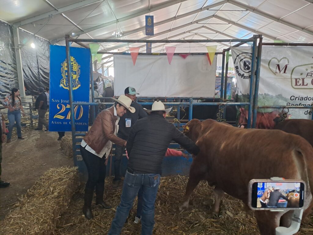 gana6 1024x768 - INAUGURAN LA EXPO GANADERA DE LA FERIA DE SAN JOSÉ 2024