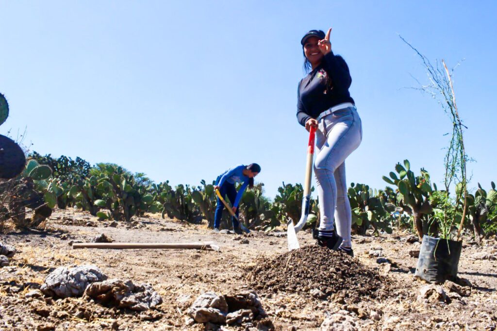 WhatsApp Image 2024 05 20 at 5.01.21 PM 1 1024x682 - GOBIERNO E IP SUMAN ESFUERZOS Y REFORESTAN MÁS DE 100 ÁRBOLES EN CERRITO DE GALOMO