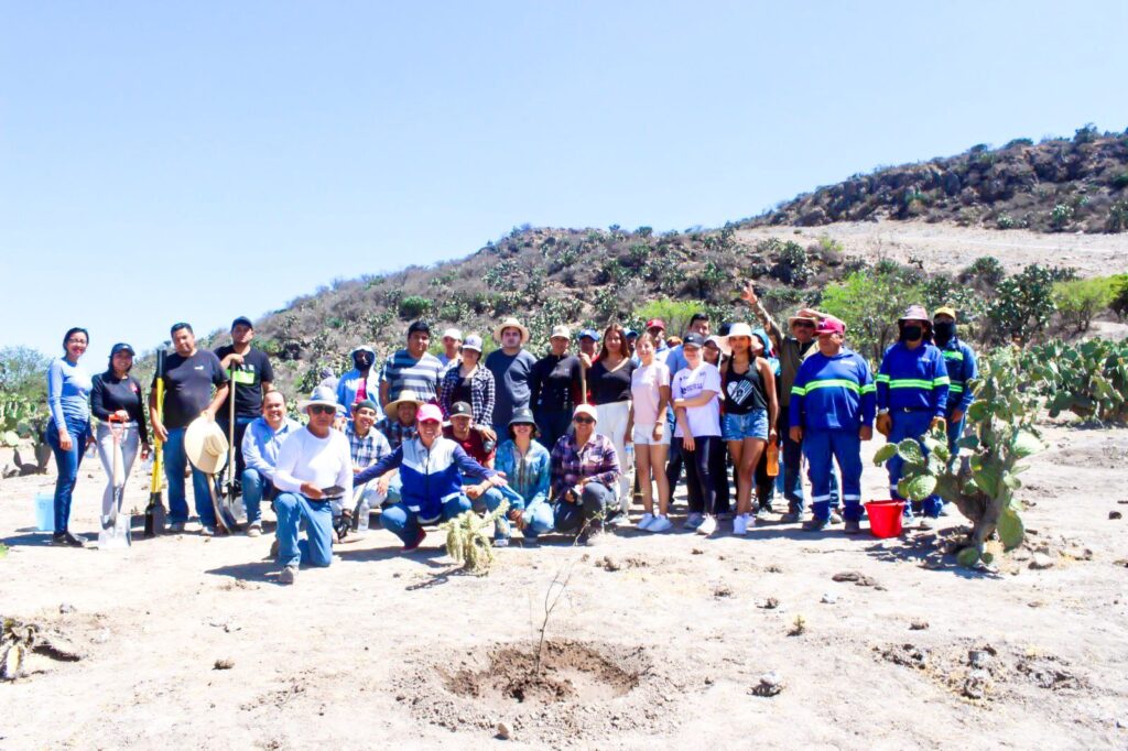 WhatsApp Image 2024 05 20 at 5.01.21 PM 2 1024x682 - GOBIERNO E IP SUMAN ESFUERZOS Y REFORESTAN MÁS DE 100 ÁRBOLES EN CERRITO DE GALOMO