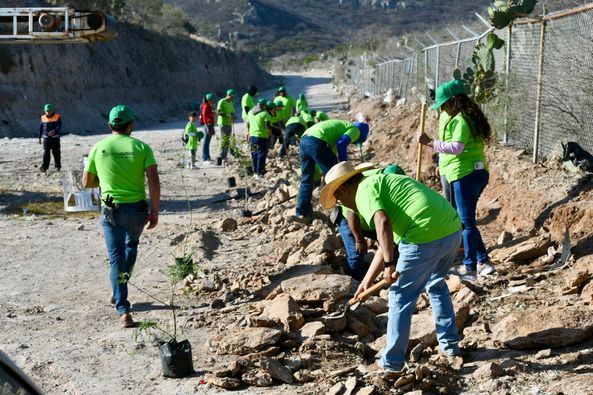 436447034 848317660626431 7748500811826555908 n - IP Y GOBIERNO REFORESTAN EL CAMINO DE ACCESO AL BASURERO MUNICIPAL