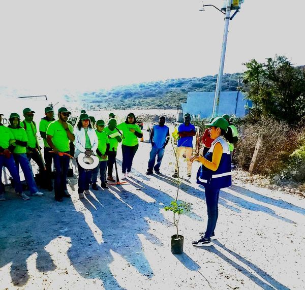 436447705 848317720626425 6669432834139380980 n - IP Y GOBIERNO REFORESTAN EL CAMINO DE ACCESO AL BASURERO MUNICIPAL