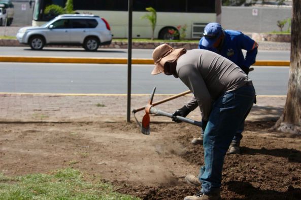 440573024 857356023055928 8066443864763502025 n - TRABAJADORES DE SERVICIOS MUNICIPALES EMBELLECEN LA ALAMEDA