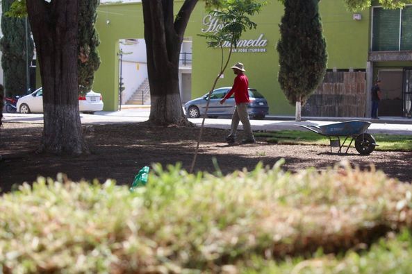 440606766 857356043055926 1247303728035379032 n - TRABAJADORES DE SERVICIOS MUNICIPALES EMBELLECEN LA ALAMEDA