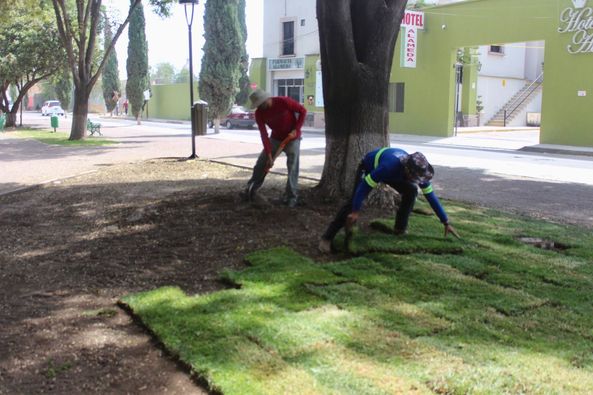 440607957 857356039722593 1752636607643659162 n - TRABAJADORES DE SERVICIOS MUNICIPALES EMBELLECEN LA ALAMEDA