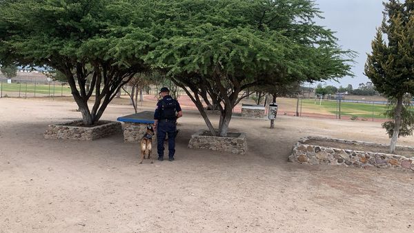 440813238 857504373041093 6301764528695929747 n - SE MANTIENE SAN JOSÉ ITURBIDE EN PRIMER LUGAR ESTATAL EN BÚSQUEDA Y LOCALIZACIÓN DE PERSONAS