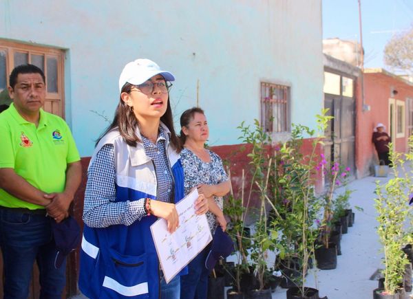 441462891 859171736207690 8888509086468897114 n - GOBIERNO MUNICIPAL, GRUPO LAMOSA Y SOCIEDAD CIVIL PARTICIPAN EN REFORESTACIÓN DE EL SALITRE