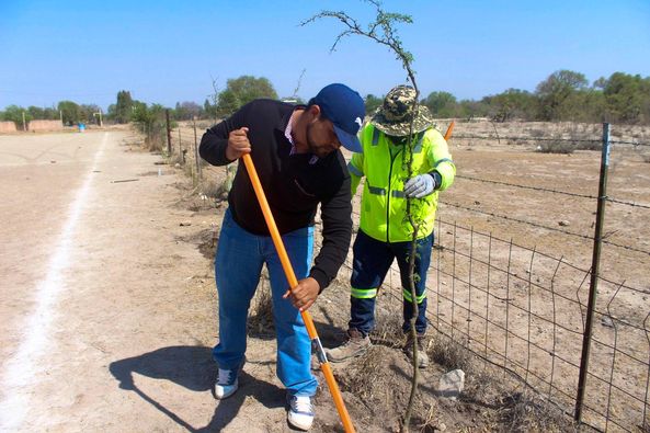 443822786 870217578436439 8116107159907799523 n - PLANTAN 60 ÁRBOLES EN LA COMUNIDAD DE MIRANDA