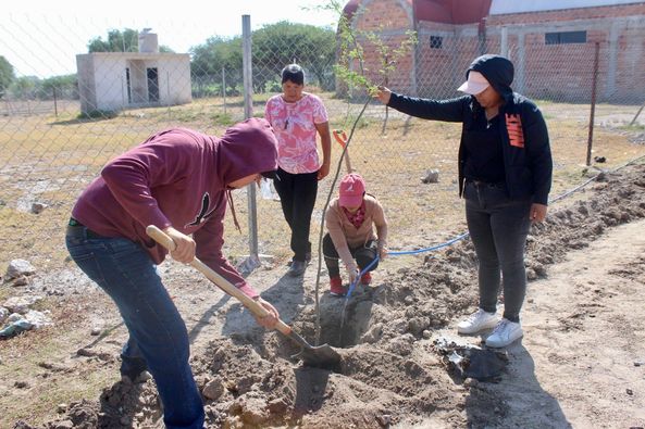 445427753 873267811464749 7778671846642837716 n - GOBIERNO MUNICIPAL REALIZA REFORESTACIONES EN LOS TERREROS Y EN LA UPN