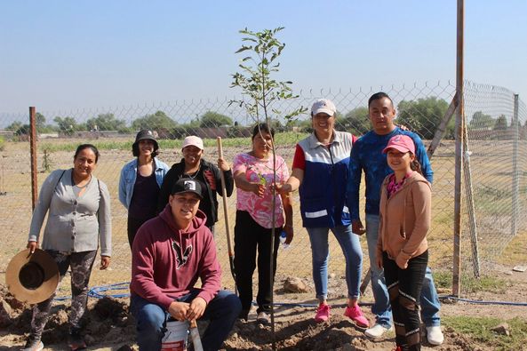 445668869 873267754798088 2104144989268055182 n - GOBIERNO MUNICIPAL REALIZA REFORESTACIONES EN LOS TERREROS Y EN LA UPN