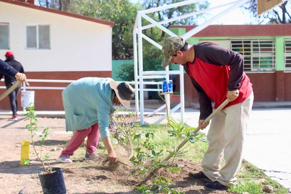 446850655 873267761464754 3897172949004095212 n - GOBIERNO MUNICIPAL REALIZA REFORESTACIONES EN LOS TERREROS Y EN LA UPN