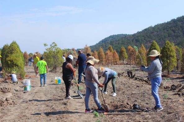 448198332 881482823976581 2780698573563035462 n - CONCLUYE CON ÉXITO CAMPAÑA DE REFORESTACIÓN EN SAN JOSÉ ITURBIDE