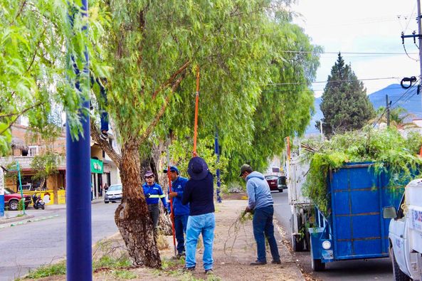 448497827 885286846929512 3689513014769473429 n - REALIZAN PODAS PREVENTIVAS EN EL ARBOLADO URBANO DE SJI