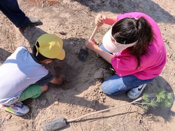 449507451 892290646229132 3960809956333172688 n - Invitan a sumarse a las últimas jornadas de reforestación que se realizarán en el municipio