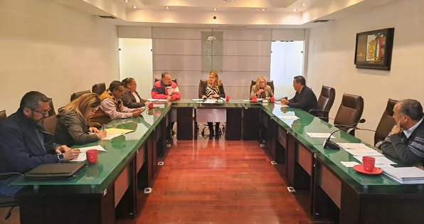 A 55 - Eligen a Perla Olivia Casta&ntilde;&oacute;n Mart&iacute;nez como juez administrativo municipal para los pr&oacute;ximos cinco a&ntilde;os