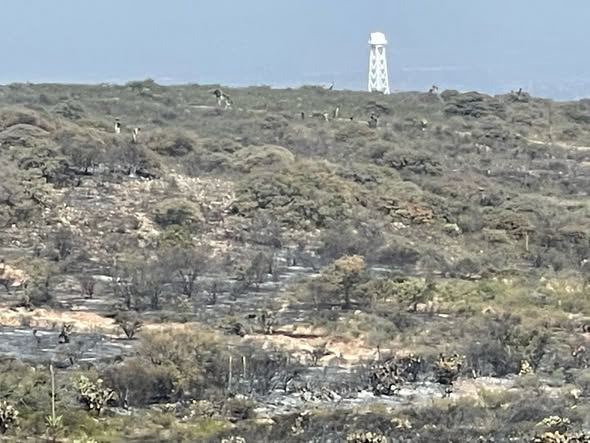 a 45 - Reportan control del 50% en el combate del incendio forestal y 40% de liquidación