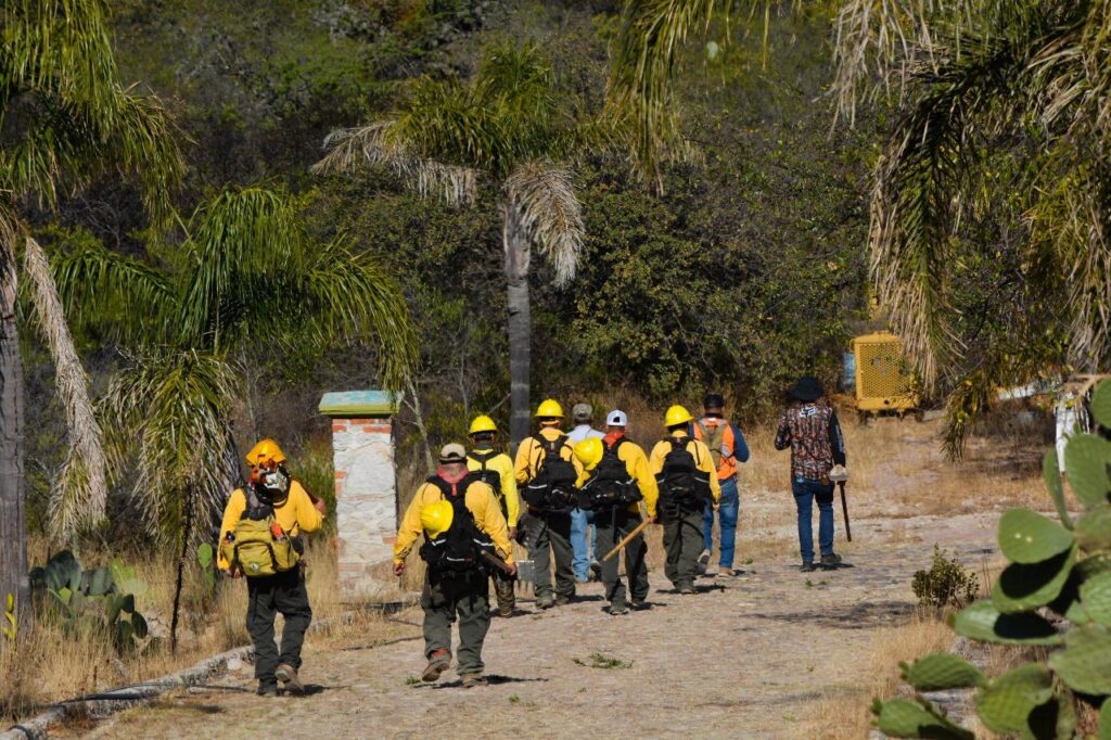 c 3 1024x682 - Declaran extinción del 95% en incendio forestal